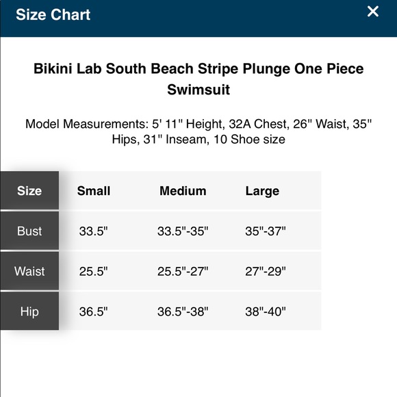 The Bikini Lab South Beach Striped Bathing Suit - Picture 4 of 5